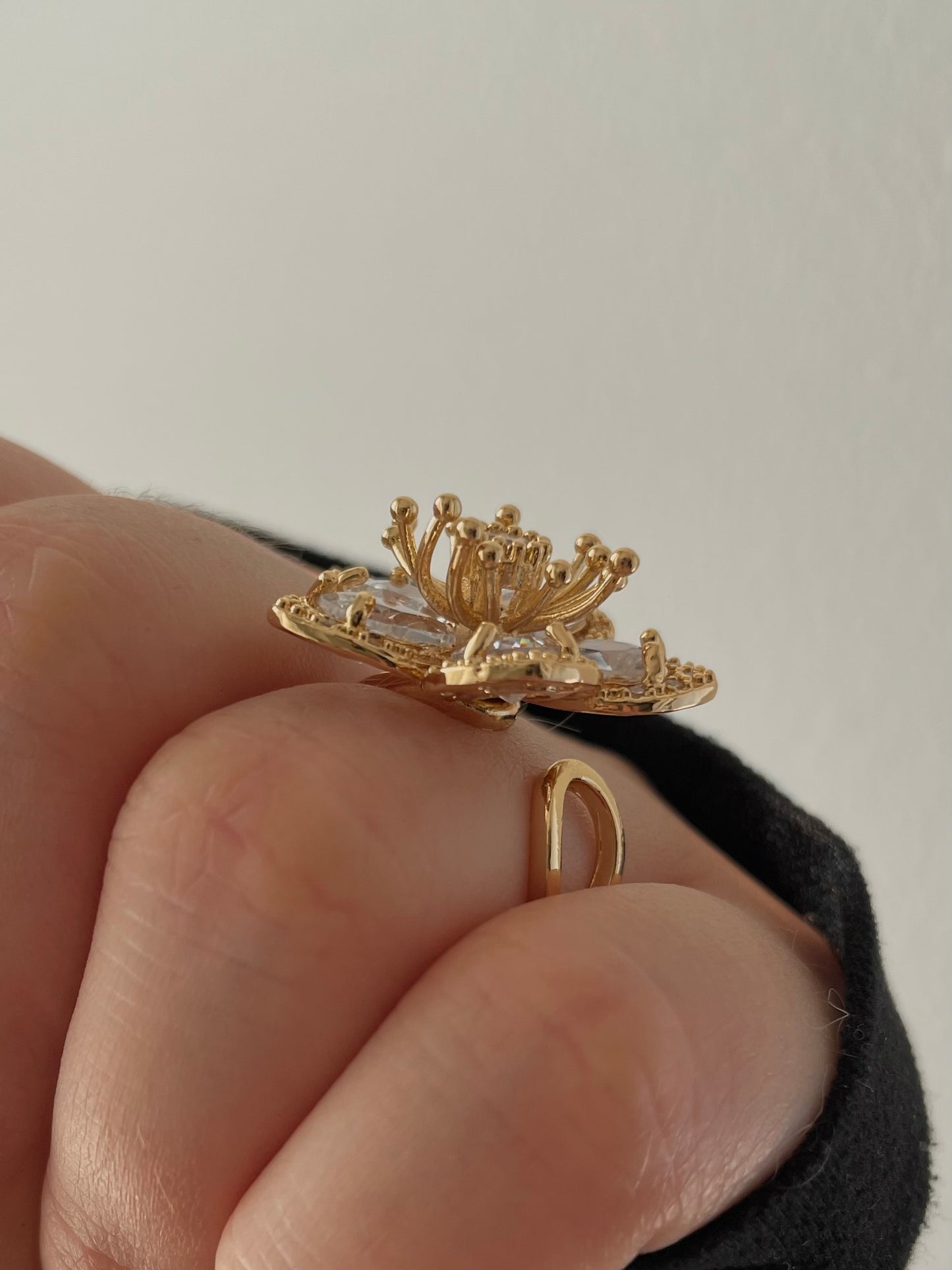 Alia Ring